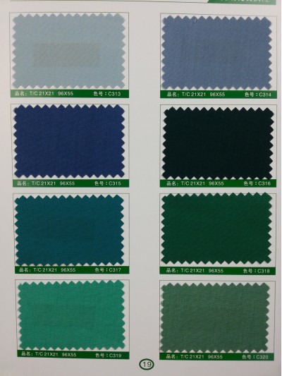 SD-DGYE   滌棉細珠帆  T/C  21*21   96*55 細節-1